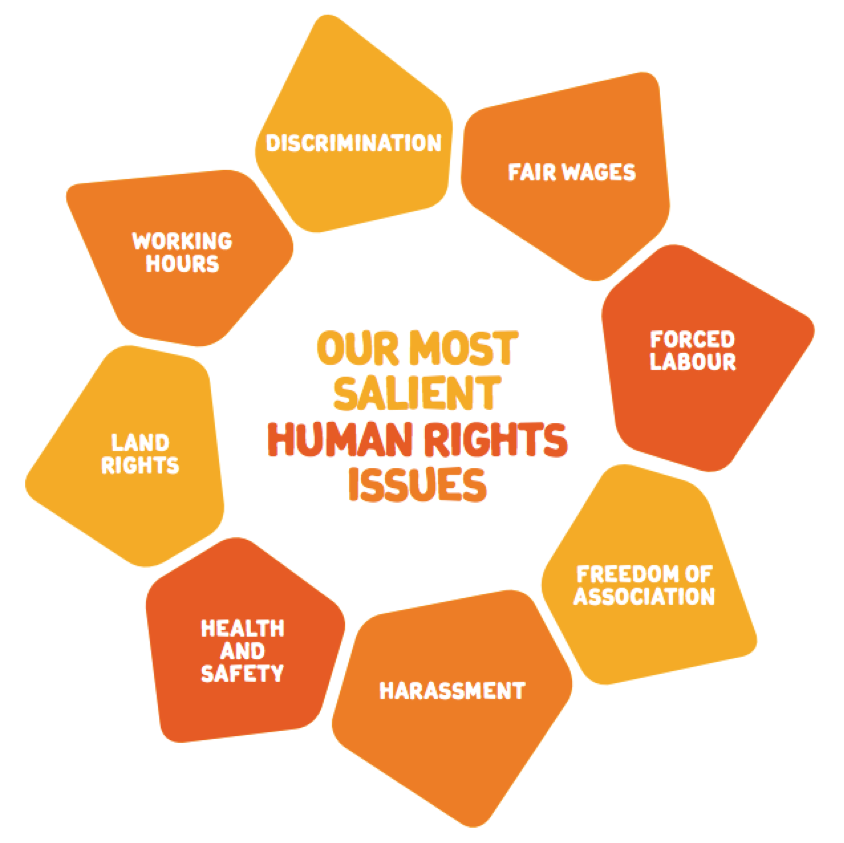 Doing Business Right Blog | The Rise Of Human Rights Due Diligence ...